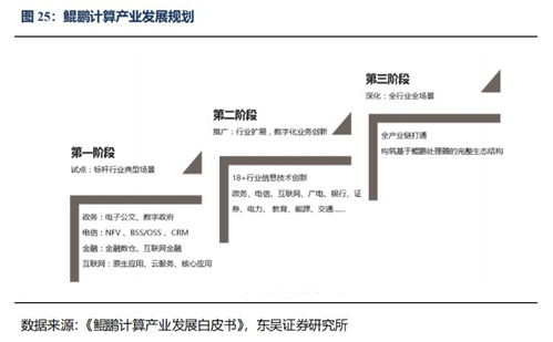 神州数码 云管理服务行业的领导者与鲲鹏整机核心供应商的崛起